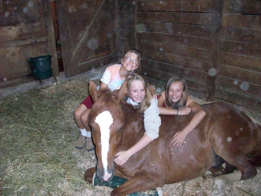 kids with horse