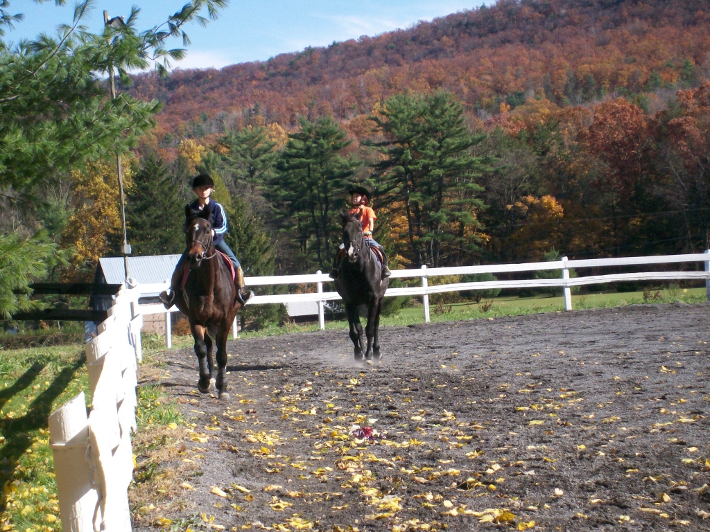 riders on horses