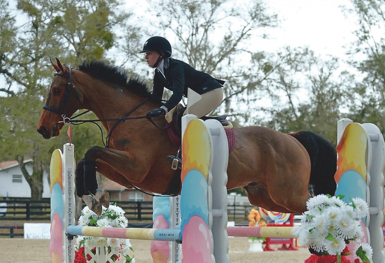 Butterfly Chavannais & Kelsey Kocher, HITS Ocala 2018